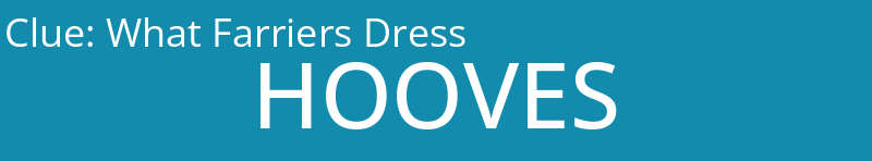What Farriers Dress