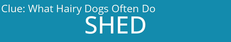 What Hairy Dogs Often Do