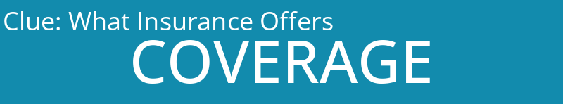 What Insurance Offers