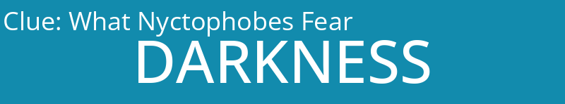 What Nyctophobes Fear