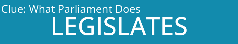 What Parliament Does