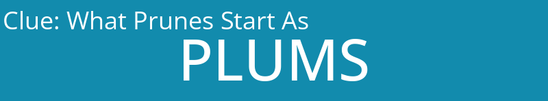 What Prunes Start As