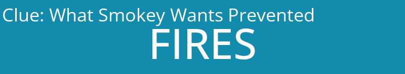 What Smokey Wants Prevented