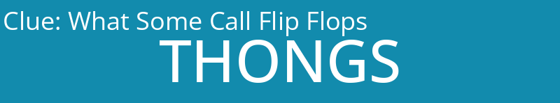 What Some Call Flip Flops