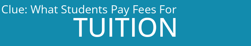 What Students Pay Fees For
