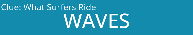What Surfers Ride