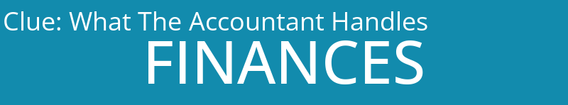 What The Accountant Handles