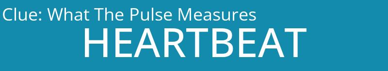 What The Pulse Measures