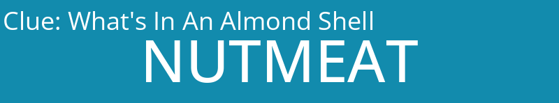 What's In An Almond Shell