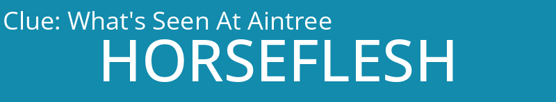 What's Seen At Aintree