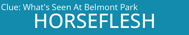 What's Seen At Belmont Park