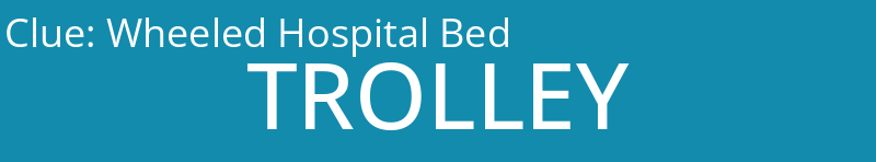 Wheeled Hospital Bed