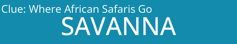 Where African Safaris Go
