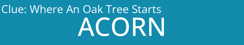 Where An Oak Tree Starts