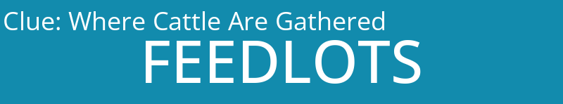 Where Cattle Are Gathered