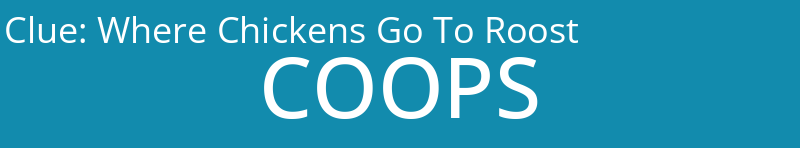 Where Chickens Go To Roost