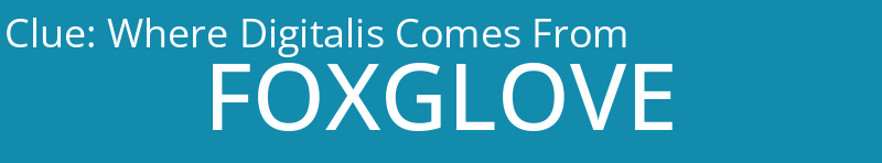 Where Digitalis Comes From