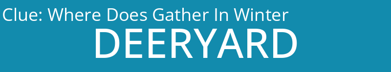 Where Does Gather In Winter