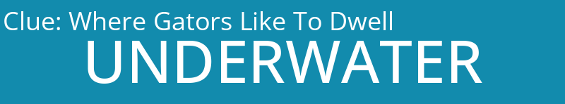 Where Gators Like To Dwell