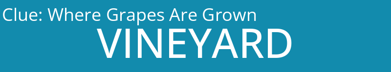 Where Grapes Are Grown