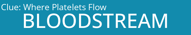 Where Platelets Flow