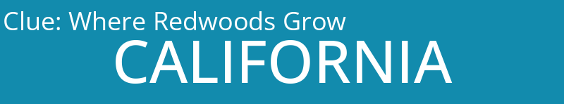 Where Redwoods Grow