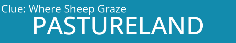 Where Sheep Graze