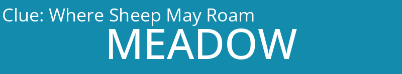 Where Sheep May Roam