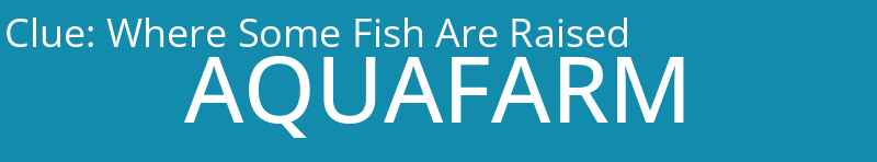 Where Some Fish Are Raised