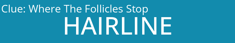 Where The Follicles Stop