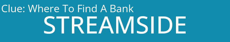 Where To Find A Bank