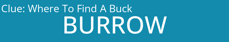 Where To Find A Buck