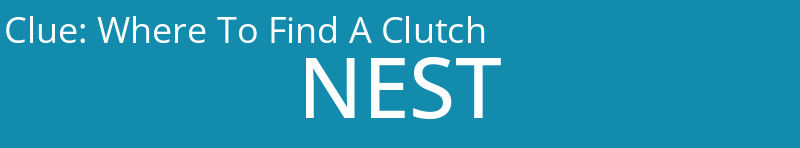 Where To Find A Clutch