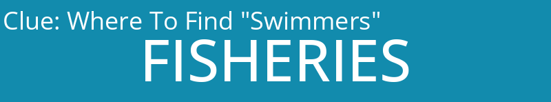 Where To Find "Swimmers"