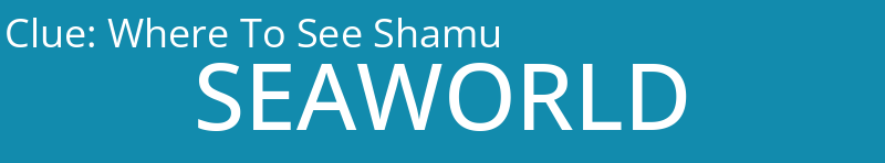 Where To See Shamu