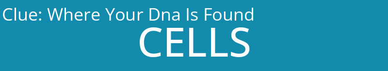 Where Your Dna Is Found