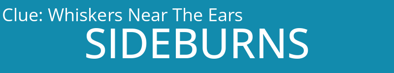 Whiskers Near The Ears