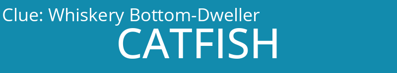 Whiskery Bottom-Dweller