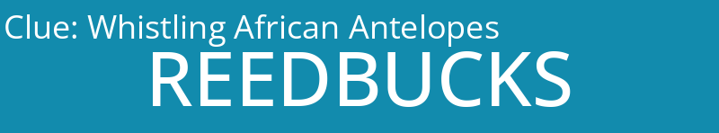 Whistling African Antelopes