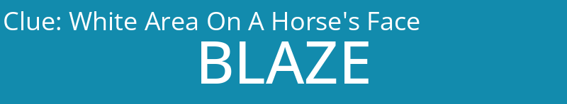 White Area On A Horse's Face