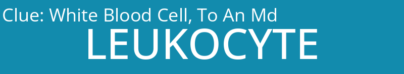 White Blood Cell, To An Md