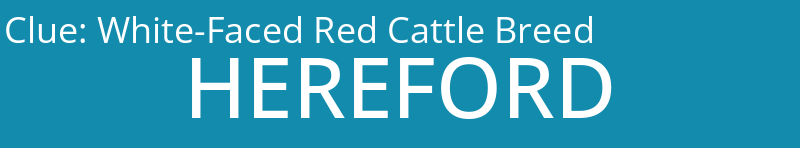 White-Faced Red Cattle Breed