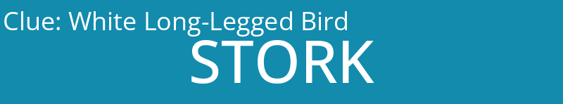 White Long-Legged Bird
