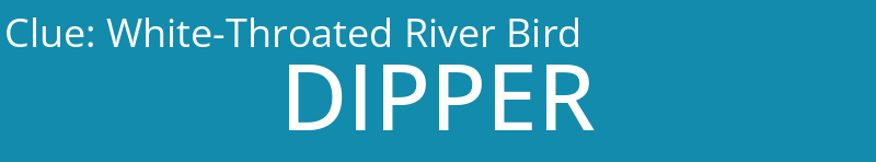 White-Throated River Bird
