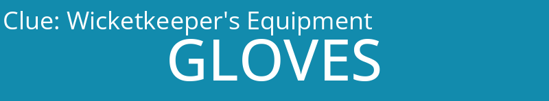 Wicketkeeper's Equipment