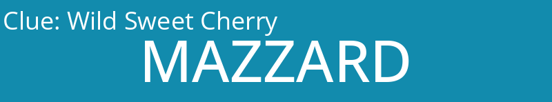 Wild Sweet Cherry