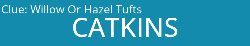 Willow Or Hazel Tufts