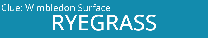 Wimbledon Surface