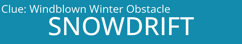 Windblown Winter Obstacle