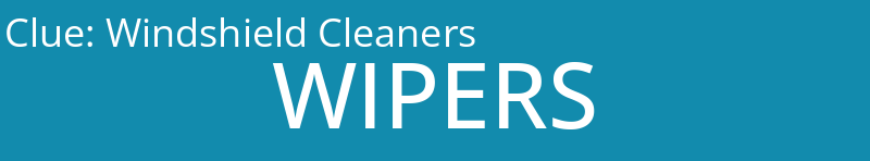 Windshield Cleaners